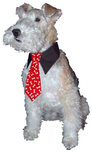 Calvin K-nine Holiday Necktie with Christmas Presents (S) 5" Long-3 Calvin K-nine Holiday Necktie with Christmas Presents (S) 5" Long-3