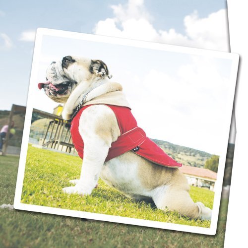 Urban Dog Wear Polar Nylon Jacket - 1