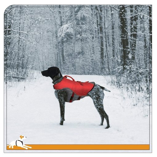 Kurgo Atomic Drop Dog Life Jacket 4