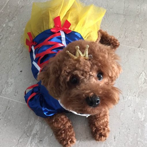 Alfie Pet Apparel by Petoga Couture - Snow White for Party Halloween Special Events Costume 9