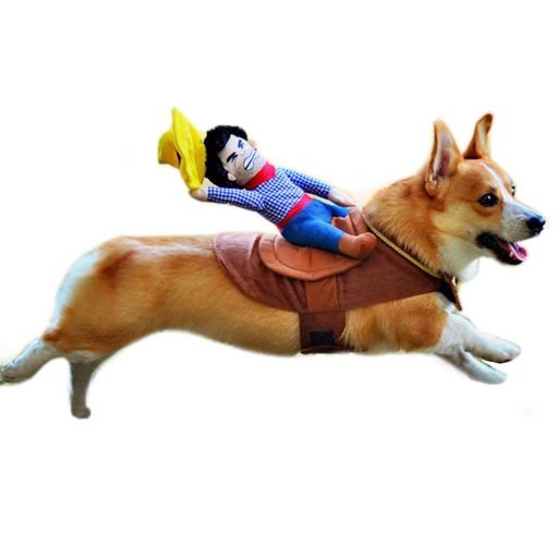 Alfie Pet Apparel by Petoga Couture - Tony the Cowboy for Party Halloween Special Events Costume