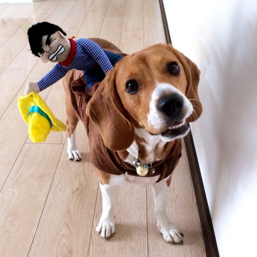 Alfie Pet Apparel by Petoga Couture - Tony the Cowboy for Party Halloween Special Events Costume 8