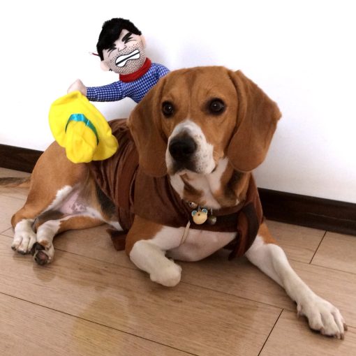 Alfie Pet Apparel by Petoga Couture - Tony the Cowboy for Party Halloween Special Events Costume 9