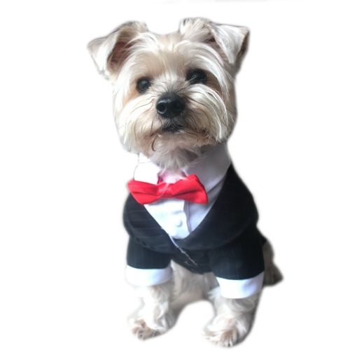 Alfie Pet by Petoga Couture - Oscar Formal Tuxedo with Black Tie and Red Bow Tie 2