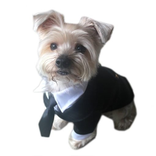 Alfie Pet by Petoga Couture - Oscar Formal Tuxedo with Black Tie and Red Bow Tie 4
