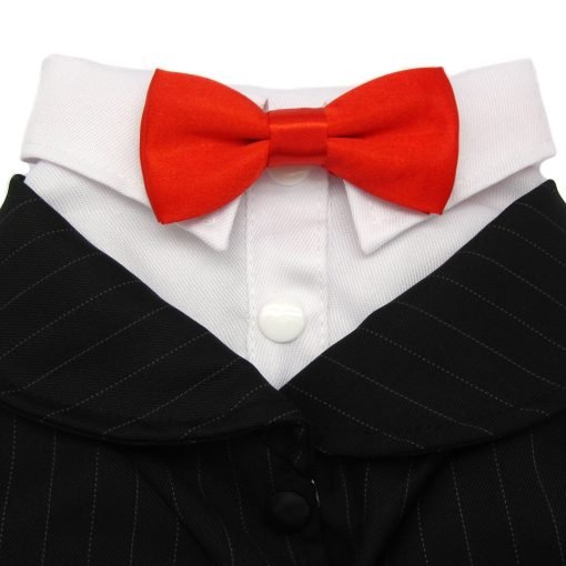 Alfie Pet by Petoga Couture - Oscar Formal Tuxedo with Black Tie and Red Bow Tie 7