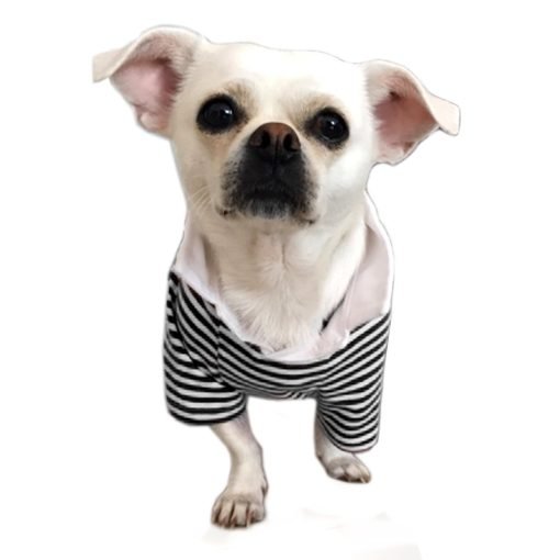 Alfie Pet by Petoga Couture - Jesse Striped Polo Shirt