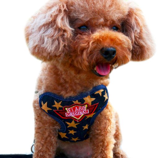 Alfie Pet by Petoga Couture - Hennie Step-in Harness and Leash Set