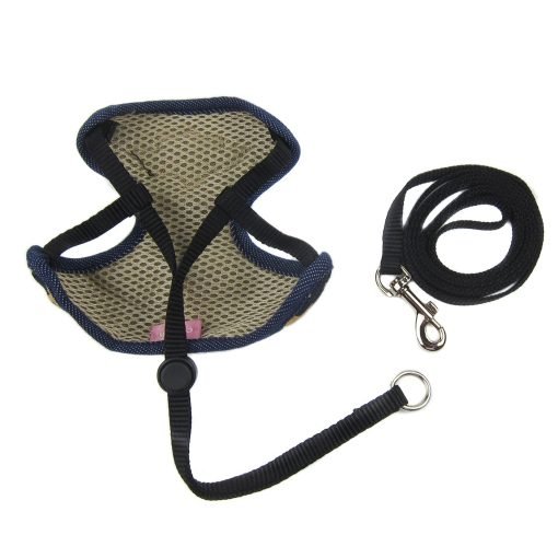 Alfie Pet by Petoga Couture - Hennie Step-in Harness and Leash Set 5