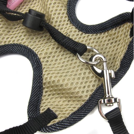 Alfie Pet by Petoga Couture - Hennie Step-in Harness and Leash Set 6