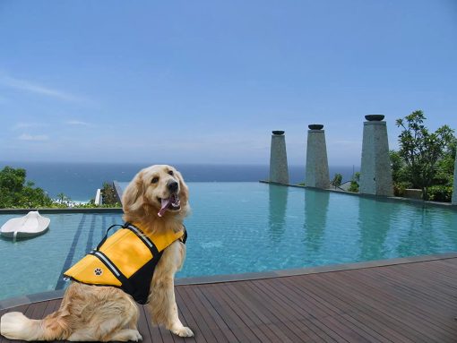 Designer Dog Life Jacket Pet Saver Vest Coat Floation Float Ait Buoyancy 7