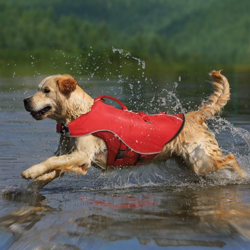 Kurgo Surf N Turf Dog Life Jacket - Lifetime Warranty 2