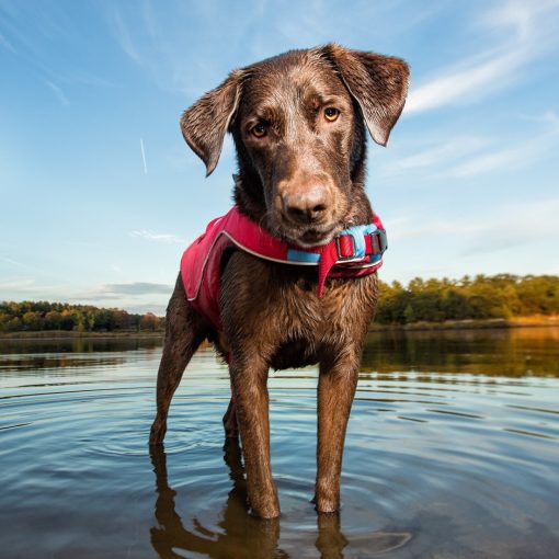 Kurgo Surf N Turf Dog Life Jacket - Lifetime Warranty 3