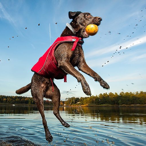 Kurgo Surf N Turf Dog Life Jacket - Lifetime Warranty 4