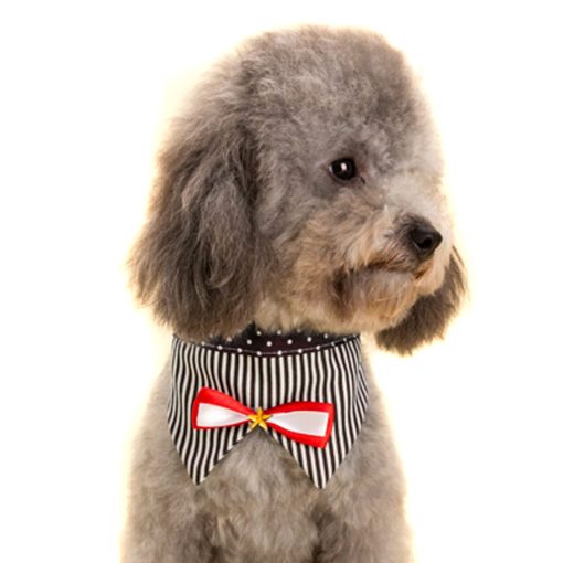 Alfie Pet by Petoga Couture - Morgan Bandana for Dogs and Cats