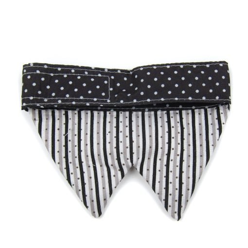Alfie Pet by Petoga Couture - Morgan Bandana for Dogs and Cats 4