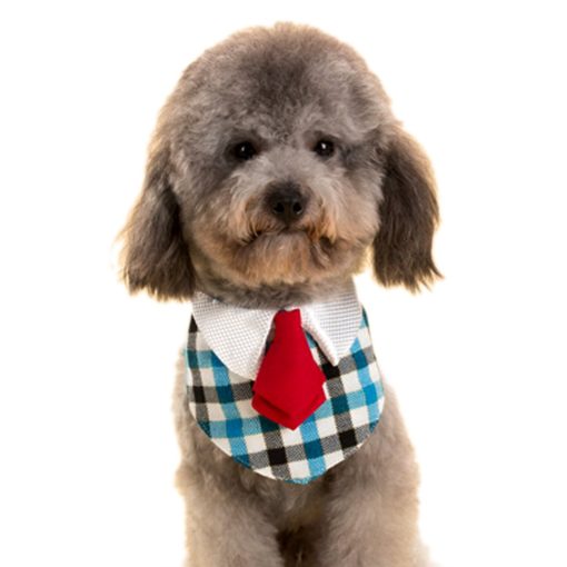 Alfie Pet by Petoga Couture - Morgan Bandana for Dogs and Cats