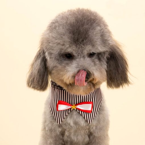 Alfie Pet by Petoga Couture - Morgan Bandana for Dogs and Cats 9