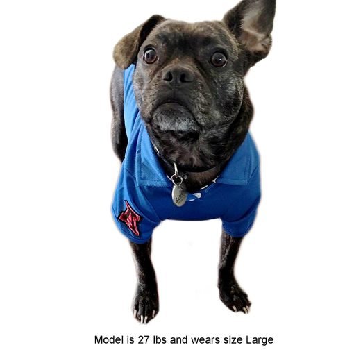Alfie Pet by Petoga Couture - Fitch Solid Color Polo Shirt 4