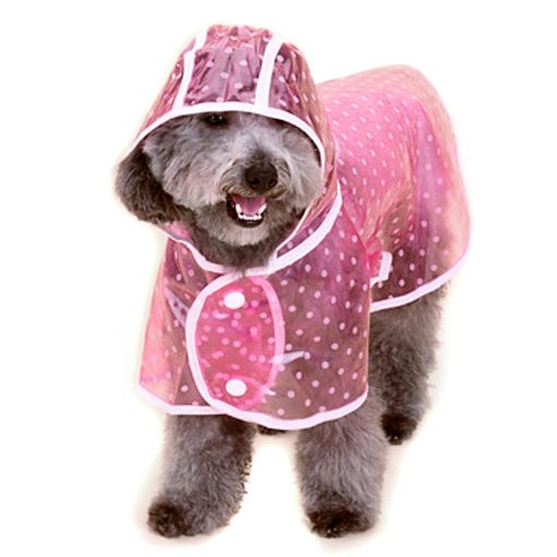Alfie Pet by Petoga Couture - Alvin Raincoat (for Dogs and Cats) 2