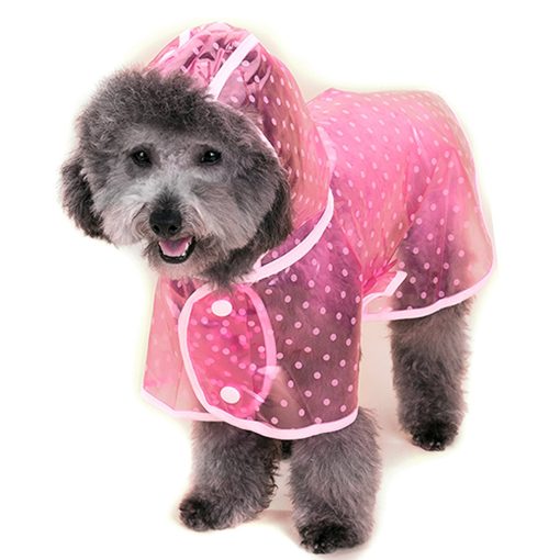 Alfie Pet by Petoga Couture - Alvin Raincoat (for Dogs and Cats) 9