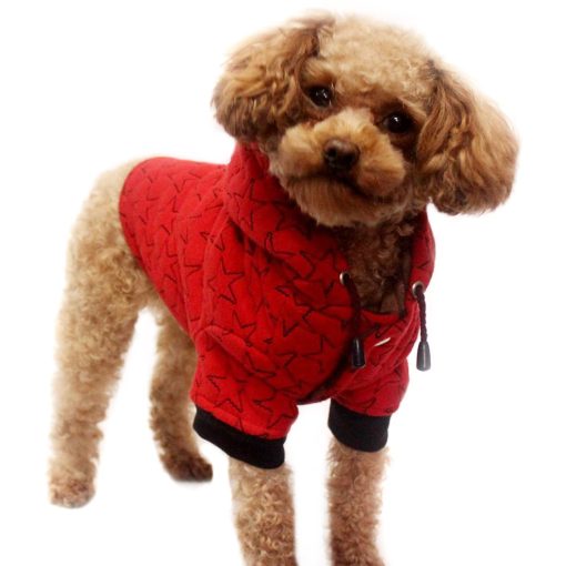 Alfie Pet by Petoga Couture - Mason Active Hoodie