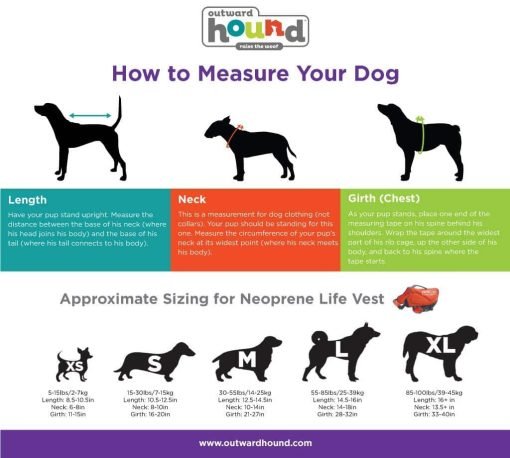 Outward Hound Dawson Dog Life Jacket 3