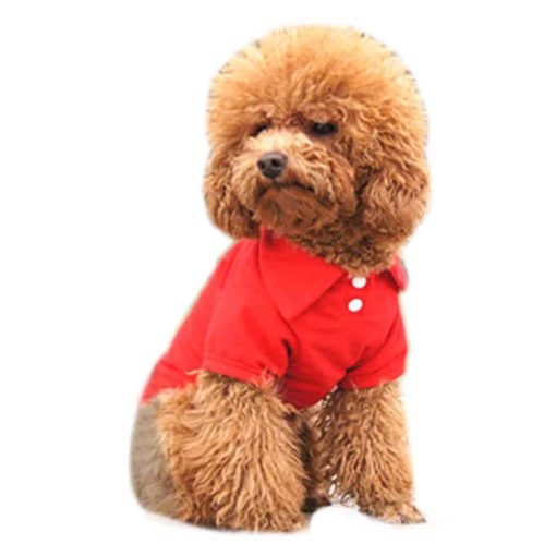 Alfie Pet by Petoga Couture - Hollis Solid Color Polo Shirt - Color- Red, Size- XS