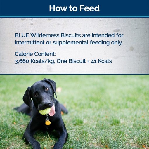Blue Buffalo Wilderness Trail Treats Grain Free Biscuits Crunchy Dog Treats 5