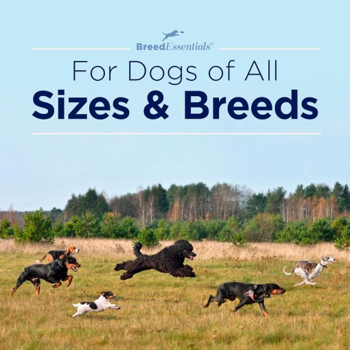 Breed Essentials Chicken Slims 6 oz - Chihuahua - 4