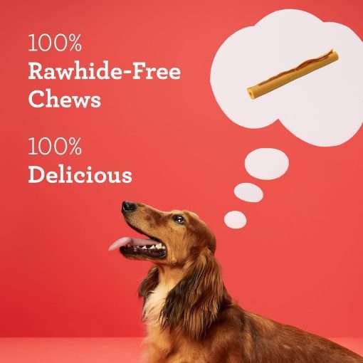 DreamBone DreamSticks with Real Bacon and Cheese Flavor, Rawhide Free Dog Chew Sticks 15 Sticks - 4