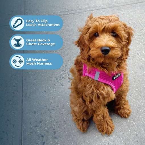 Best Pet Supplies Voyager Step-in Air Dog Harness - All Weather Mesh, Reflective, No Pull Harness for Small, Medium Dogs, Cats - Secure with Hook & Loop Fastener, Buckle, Double D-Rings - 3
