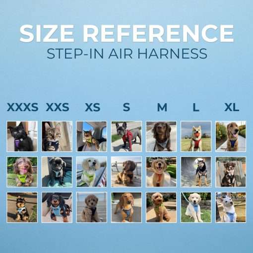 Best Pet Supplies Voyager Step-in Air Dog Harness - All Weather Mesh, Reflective, No Pull Harness for Small, Medium Dogs, Cats - Secure with Hook & Loop Fastener, Buckle, Double D-Rings - 6