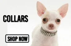 chihuahuacollarsbanner