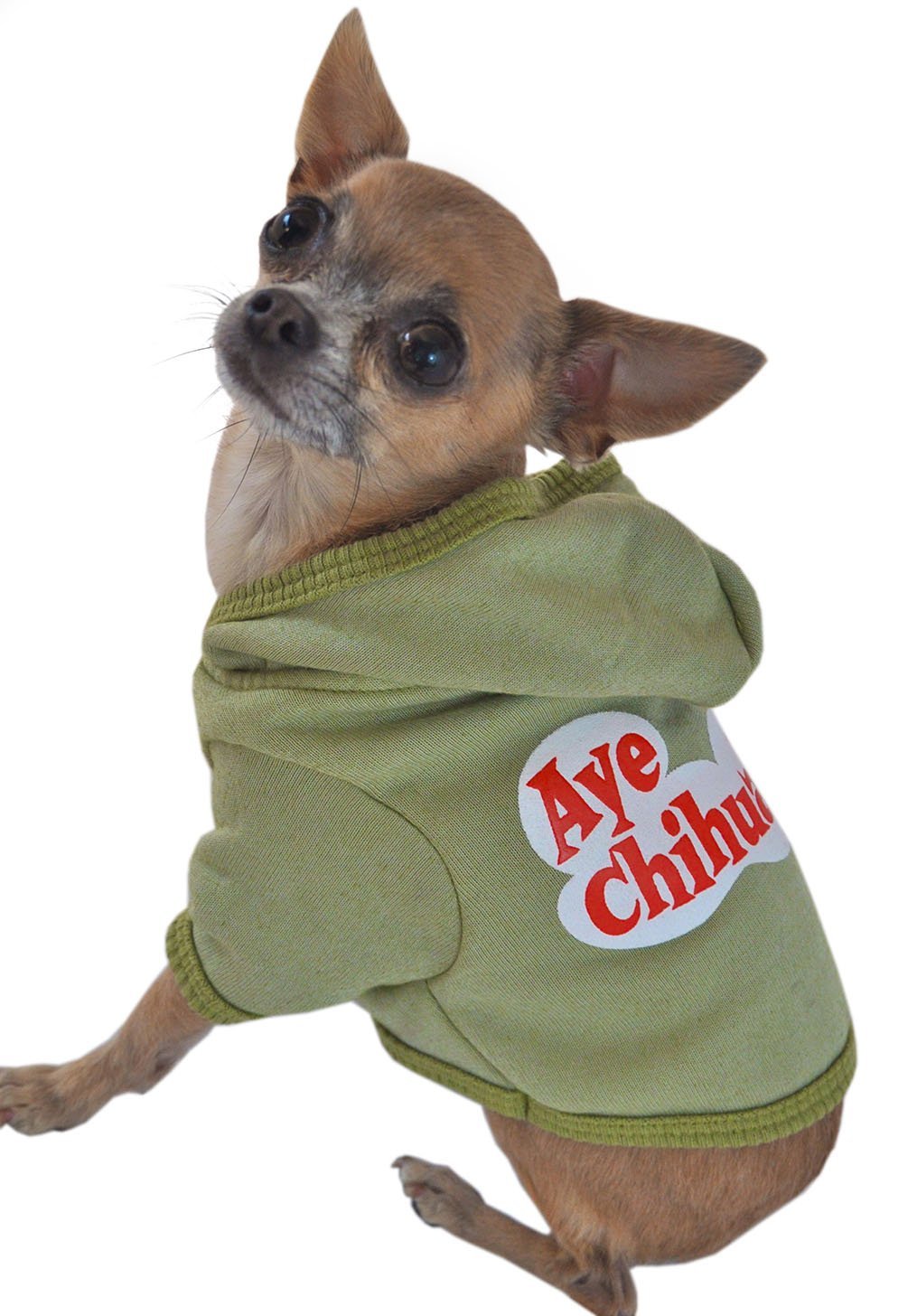 Ruff Ruff and Meow Dog Hoodie, Aye Chihuahua, Green, Medium - 1