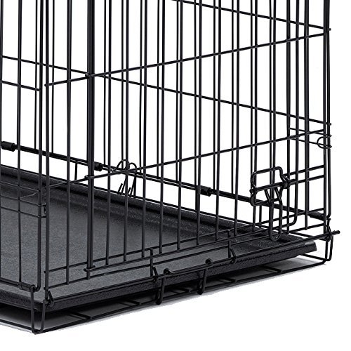 Midwest iCrate Single-Door Pet Crate 3
