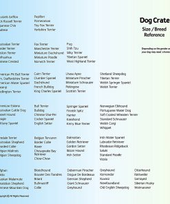 Midwest iCrate Single-Door Pet Crate 6