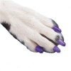 Small Soft Claws for Dogs (Natural, 9mm x 5mm)