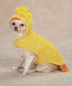 Zack & Zoey Just Ducky Dog Costume, Large, Yellow - 1