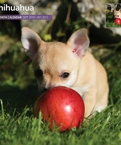 Chihuahua 2015 Wall Calendar