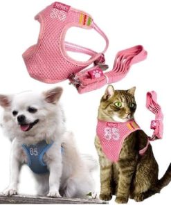 Adjustable Mesh Vest Harness with Leash for Pet Dog Cat
