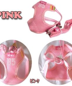 Adjustable Mesh Vest Harness with Leash for Pet Dog Cat - 1