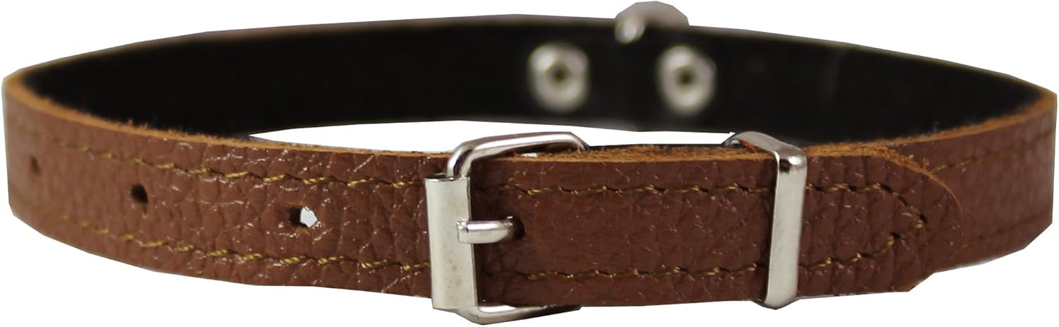 Brown Genuine Leather Felt Padded Dog Collar 13"x1/2" Wide Fits 9"-12" Neck, Chihuahua, Yorkshire Terrier, Puppies