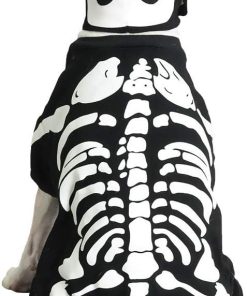 Casual Canine Cotton Glow Bones Dog Costume, X-Small, 8-Inch - 1