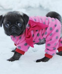 Fitwarm® Cute Ribbon Polka Dots Fleece Pet Dog Coats Pajamas Soft Pjs Winter Clothes - 2