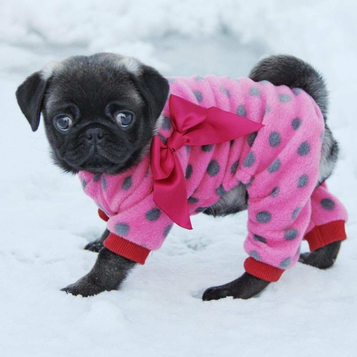 Fitwarm® Cute Ribbon Polka Dots Fleece Pet Dog Coats Pajamas Soft Pjs Winter Clothes - 2