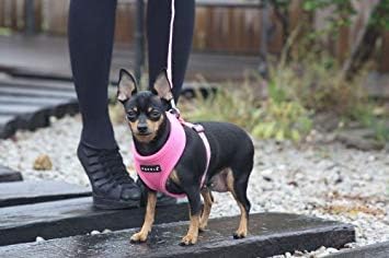 Puppia Soft Dog Harness - Small-3