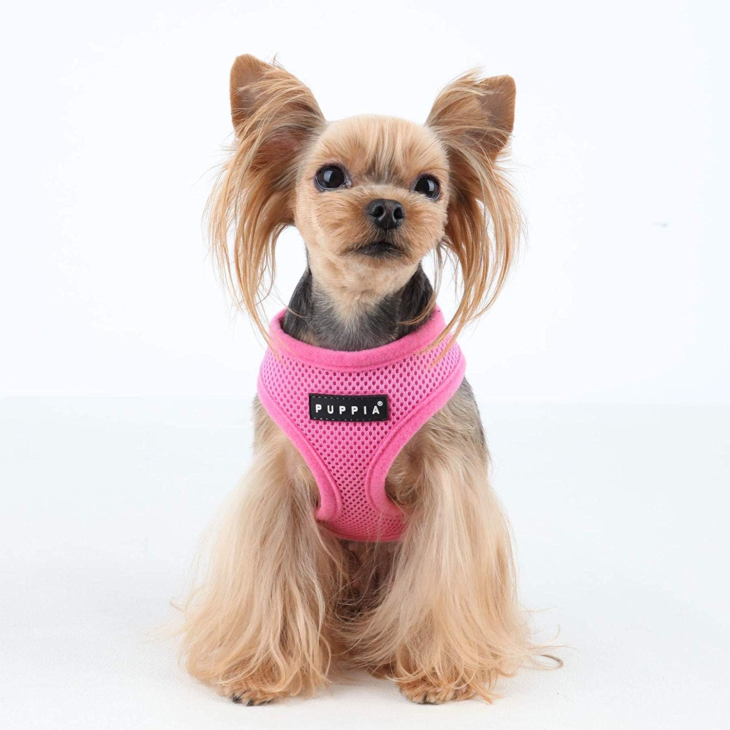 Puppia Soft Dog Harness - Small-4