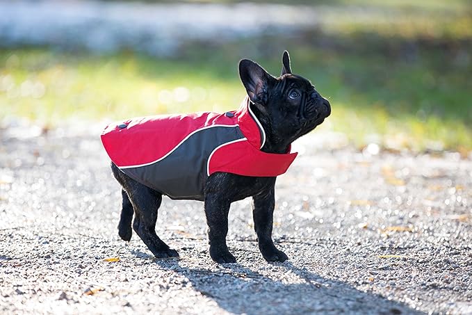 RC Pet Products Trilogy Jacket 3 in 1 Dog Coat, Red-3 - 4