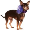 Rubies Costume Company Pet Necklace Collar, Small - Medium, Purple Sequin - 1